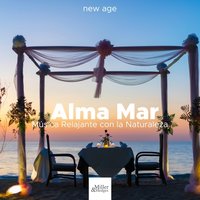 Música Instrumental - El Alma