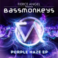 Here's Where The Story Ends - Naomi Marsh & Bassmonkeys