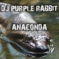 The Dragonfly - DJ Purple Rabbit
