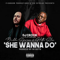 She Wanna Do' - DJ Crook & Bubba Sparxxx