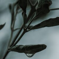 Cascada Maravillosa - Sueño Profundo & El hada de las canciones de cuna & Academia de Música para Massagem Relaxamento