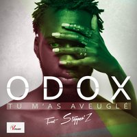 Tu m'as aveuglé - Stepper'z & Odox