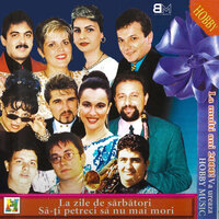 Bage strugure de toamna - Mihaela Petrovici
