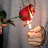 Lose You - Hard Light