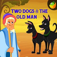 Two Dogs & The Old Man - Magicbox