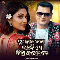 Sun Kaka Baba - Santanu Sahu