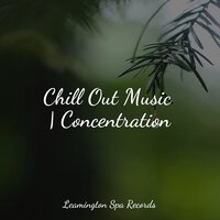 Unwind, De-Stress - Rainy Sounds & Nature Recordings & Ambient Nature Project