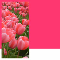 Trio Jazz Soundtrack for Calm Times - French Cafe Jazz Classics