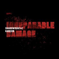 Precision Munition - Shadow Huntaz & Kareem