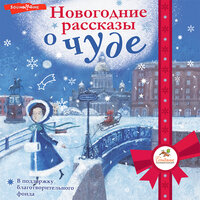 Новогодние рассказы о чуде. Часть 14 - Елена Дельвер & Нина Гуркова & Игорь Каспаров & Илья Дементьев & Ксения Бржезовская
