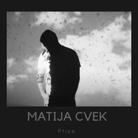 Ptice - Matija Cvek & Nik Orosi