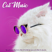 Pet Relaxation - Music For Cats & Cat Music & Music For Pets