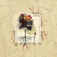 Like Chet - Fab Spina & LVC