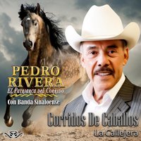 El Acuario - Pedro Rivera