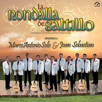 Necesito Una Compañera - Los Sonidos Celestiales