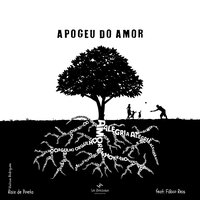 Apogeu do Amor - Vinicius Rodrigues & Fabio Reis