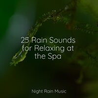 Rain Dripping from the Roof - Sleep Lullabies for Newborn & Nature Sound Collection & Kinderlieder-Superstar