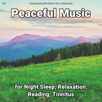 Peaceful Music, Pt. 20 - Relaxing Music by Sibo Edwards & Yoga & Relaxing music