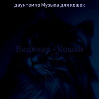 Чувство (Дрессировка кошки) - даунтемпо Музыка для кошек