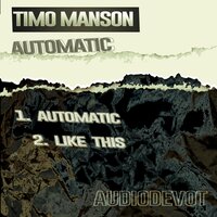 Like This - Timo Manson