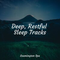 Massage Spa - Asmr Sleep Sounds & Sounds of Nature for Deep Sleep and Relaxation & Sleep Sounds Rain