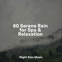 Waves by the Beach - Sleepy Times & Sounds of Nature White Noise for Mindfulness Meditation and Relaxation & Rainy Sounds
