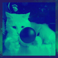 Fun Music for Stressed Kittens - Cat Total Relax