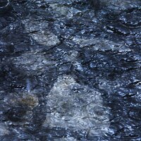 Dark Moon River - Nature Sounds Collection & Music For Absolute Sleep & The Sleep Principle