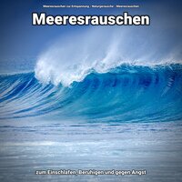 Wunderschöne Ferne - Meeresrauschen zur Entspannung & Naturgeräusche & Meeresrauschen
