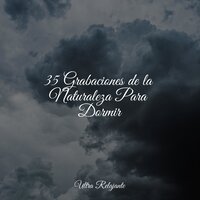 América Ambiental - Dormir Mucho & Naturaleza Relajacion & Musica Para Dormir Profundamente