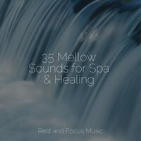Settle In - Musica Para Dormir y Sonidos de la Naturaleza & Nature Sounds Nature Music & Deep Relaxation Meditation Academy