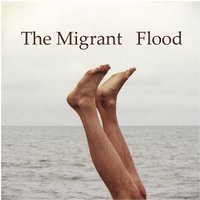 The Fixer - The Migrant