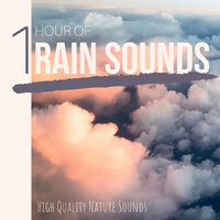 Chirping Crickets - Zen Music Garden & Shakuhachi Sakano