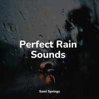 Birds in Twilight - White Noise Sound Garden & Rain Storm Sample Library & Tranquil Music Sound Of Nature