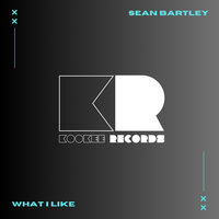 What I Like - Sean Bartley