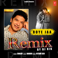 Roye Jaa Remix - Shaan & DJ Rik