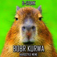 Bobr Kurwa - B-Stork