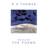 The Listener In The Corner - R S THOMAS