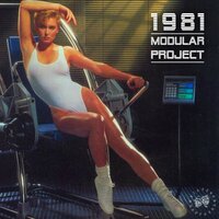 1981 - Modular Project