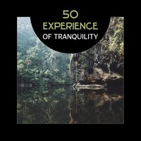 50 Experience of Tranquility - Calm Music Zone
