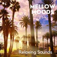 No Stress Today - Relaxing Piano Crew & Rie Koda