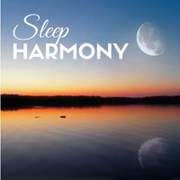 Tropical Dream - Soothing Music for Sleep Academy
