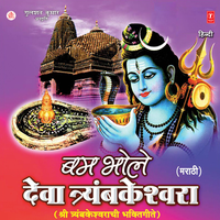 Shambhu Basle Kailasavri - Vijay Sartaape