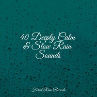 Rolling Forest Rains - Spa & Nature Sounds Collection & White Noise Babies