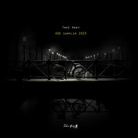 Blessing in Disguise - Amir Telem