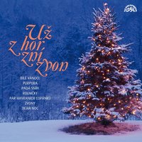 Bílá pláň - Hana Buštíková