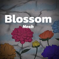 Blossom - Nesh