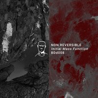Initial Mass Function - Non Reversible & Kyle Geiger