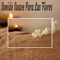 Curación Positiva - Sonido Suave