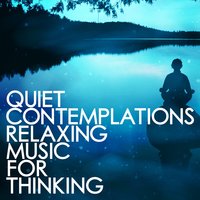 Silent Wings - Manuka Dreams